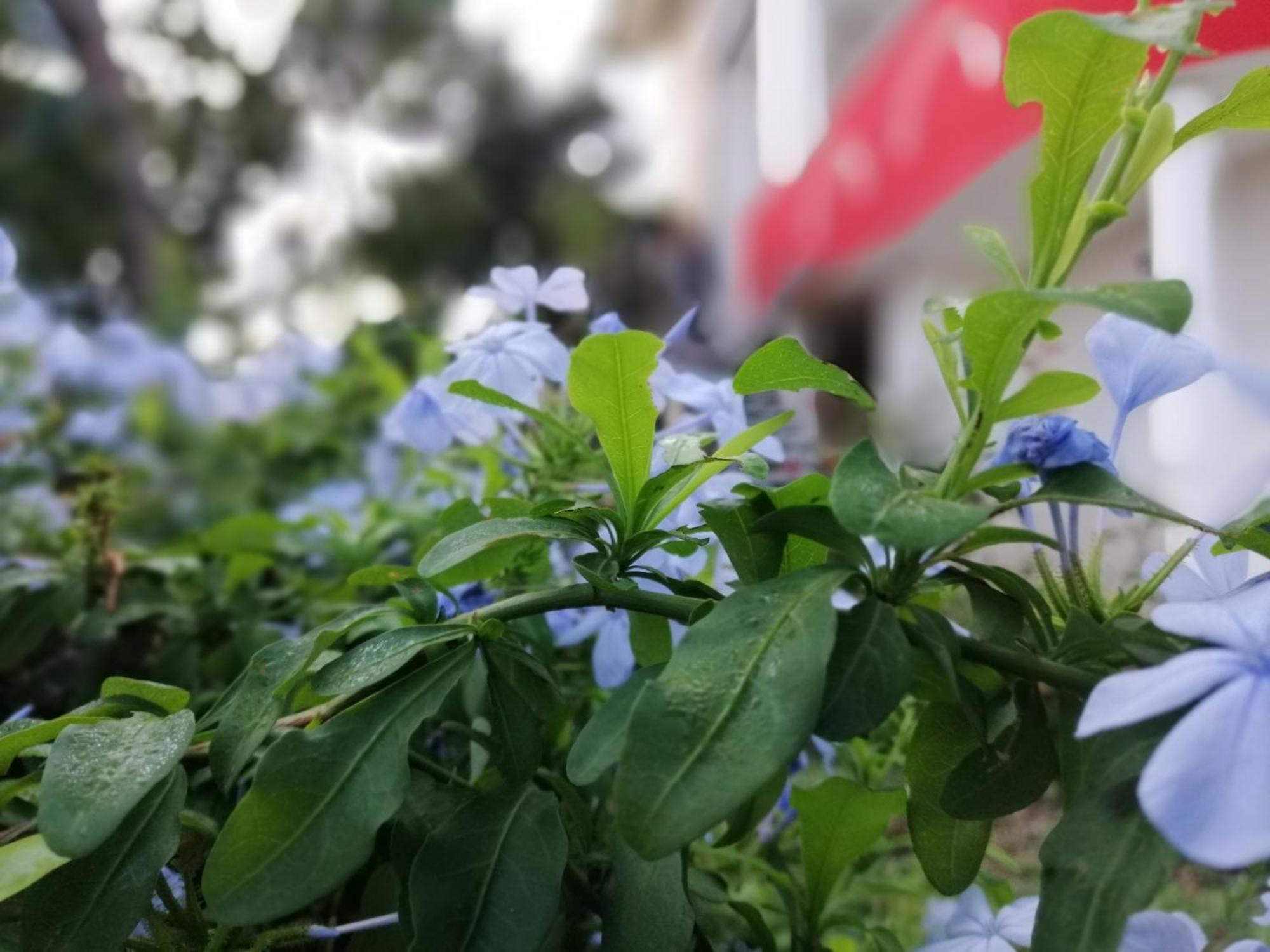 B&B Sa Scraria Meana Sardo Kültér fotó